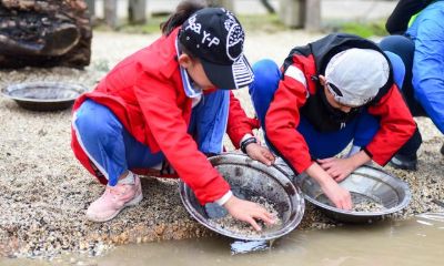 艾华澳游（第4站）：中国小孩在澳大利亚发现金矿河床，并且成功淘得金沙，引人注目